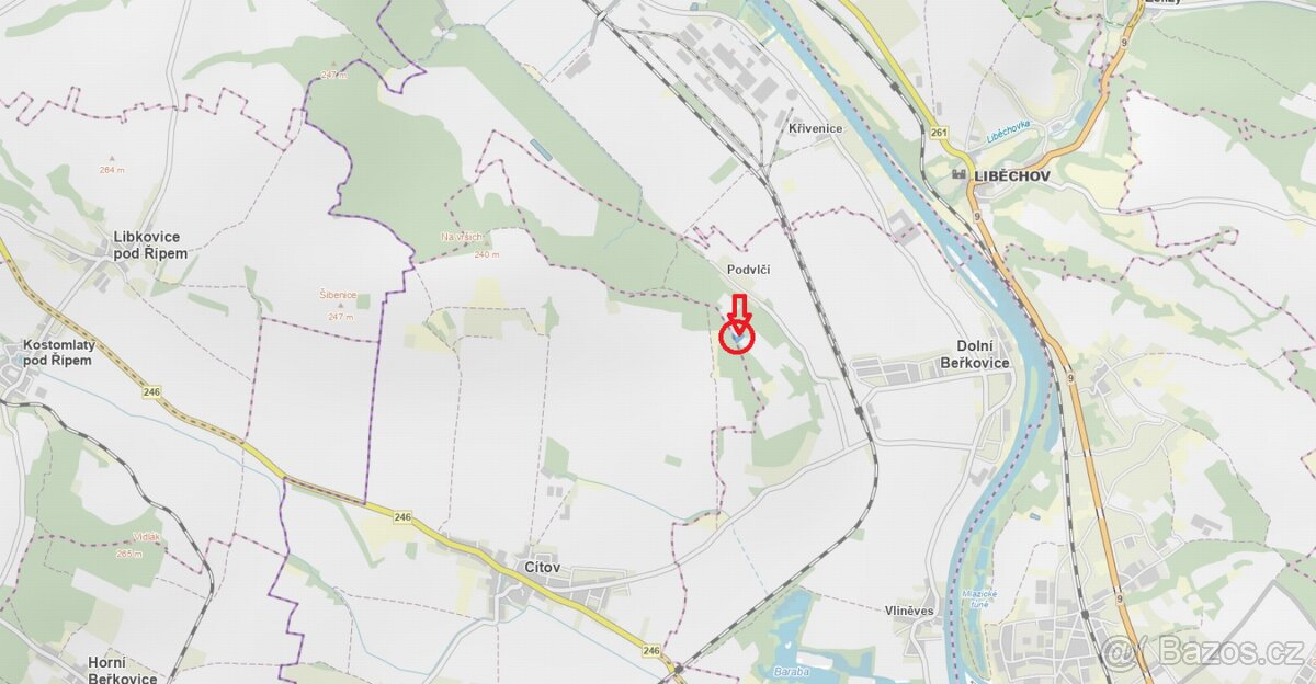 Prodej lesního pozemku k.ú. Dolní Beřkovice - 7