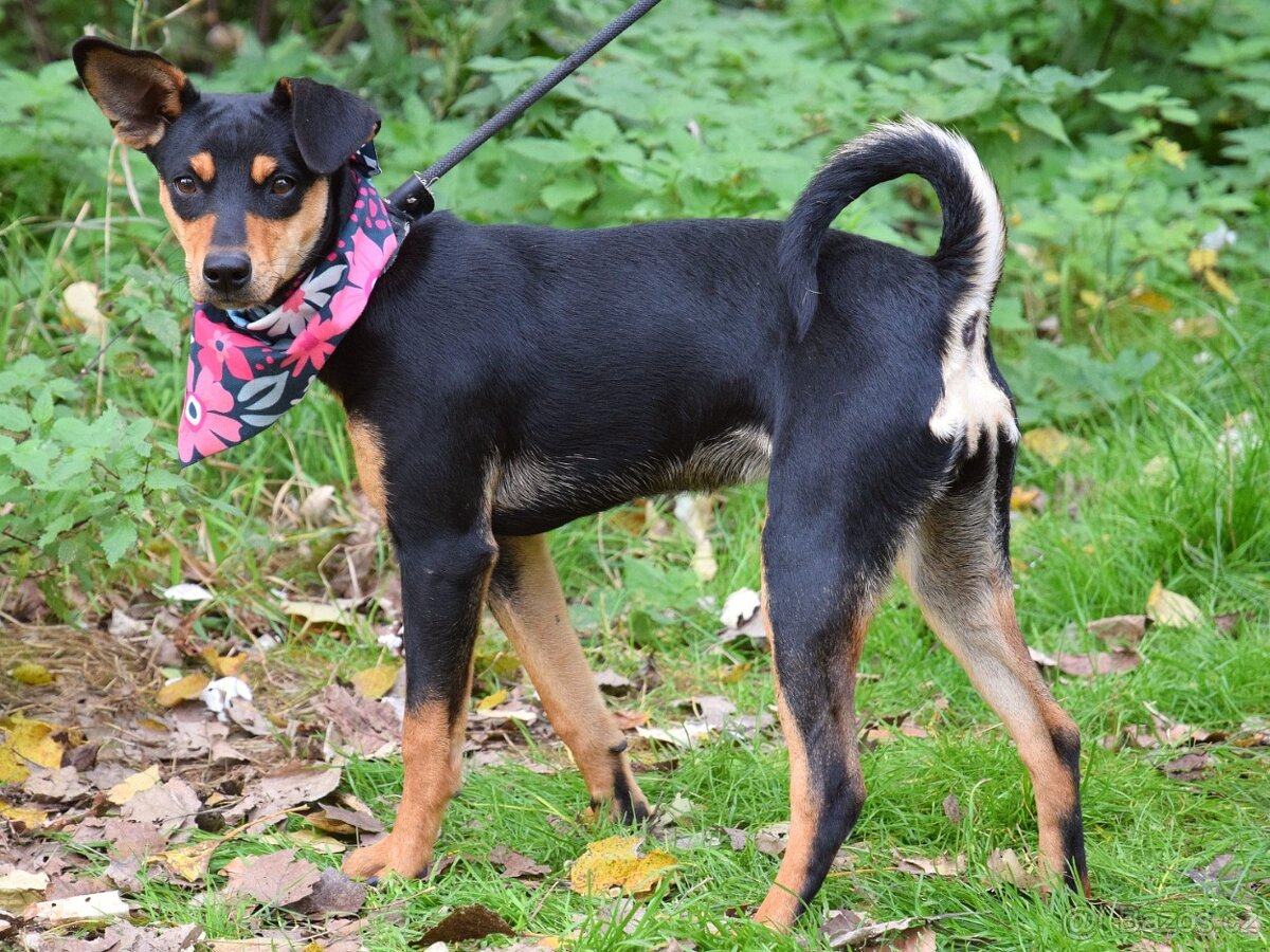 Vitalina rezervace - 7