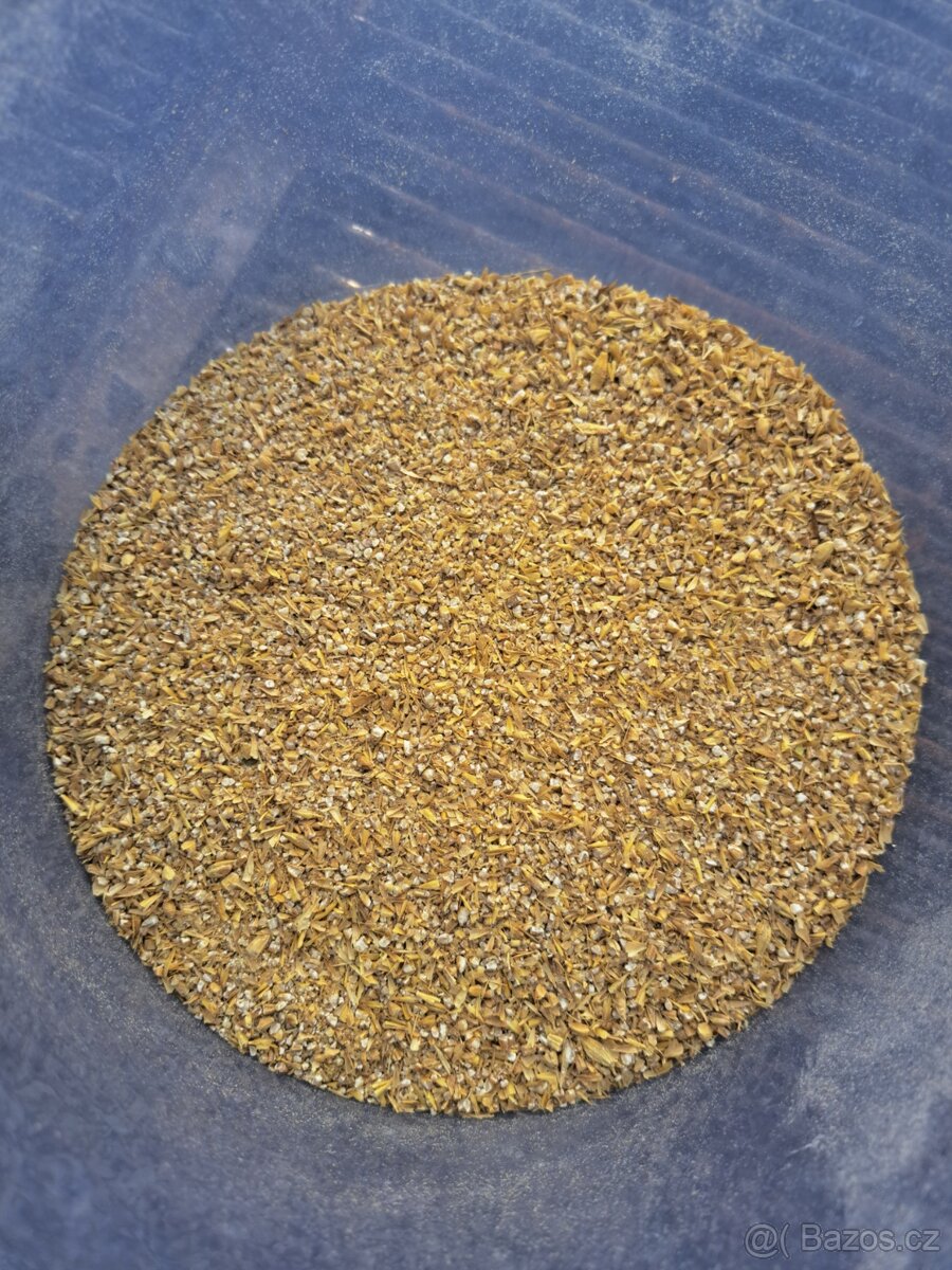 Srotovnik na obili - 7