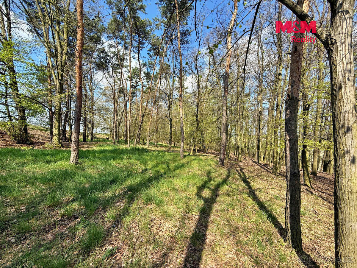 Prodej lesa, 4629 m², Mochov - 7