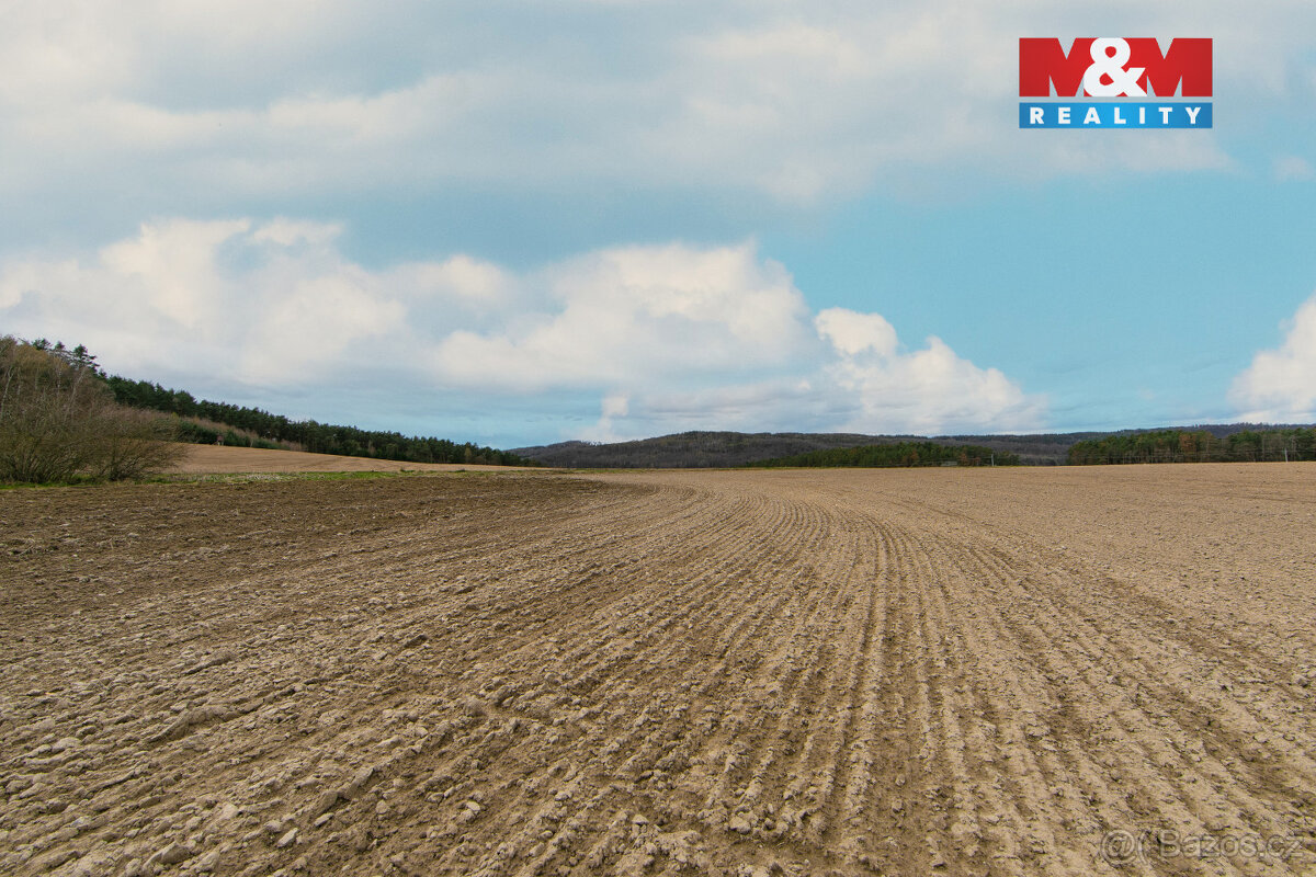 Prodej pole, 5839 m², Předenice - 7