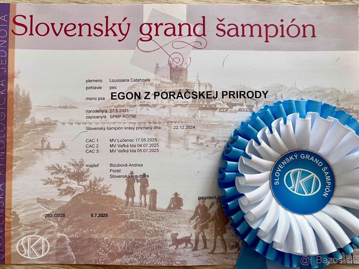 Louisiansky leopardí pes - šteniatka s PP - 7