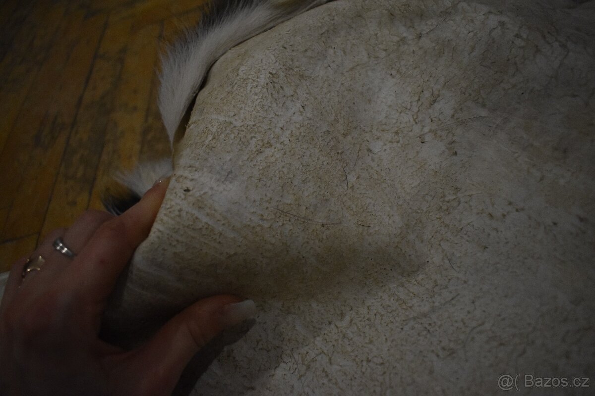 Kožešina daněk 2 - 7