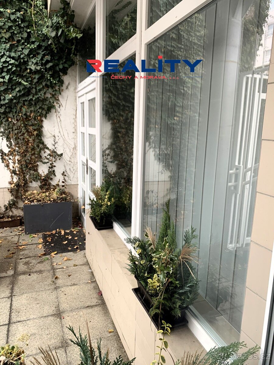 Pronájem nebytových prostor - 7