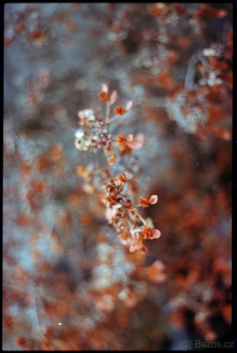 PENTAX ME-F + SMC 50mm f/2 - 7