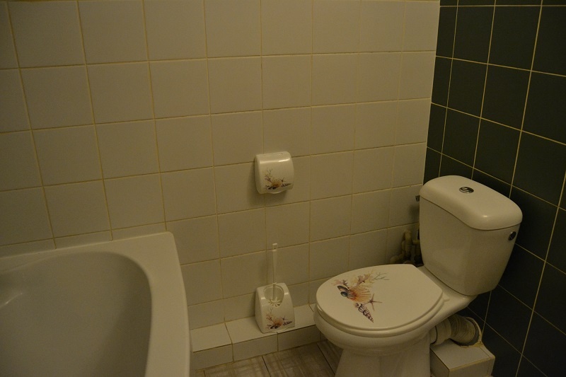 Dlouhodobý pronájem bytu 1+kk, Velké Přílepy, P-Z - 7