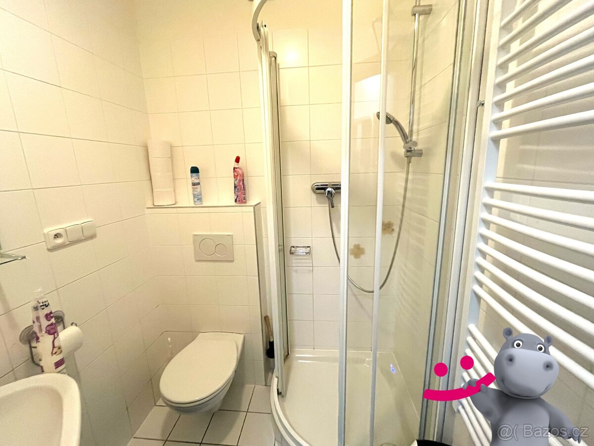 Prodej bytu 1kk + terasa, parkování, 40 m², Ostružná - Petří - 7