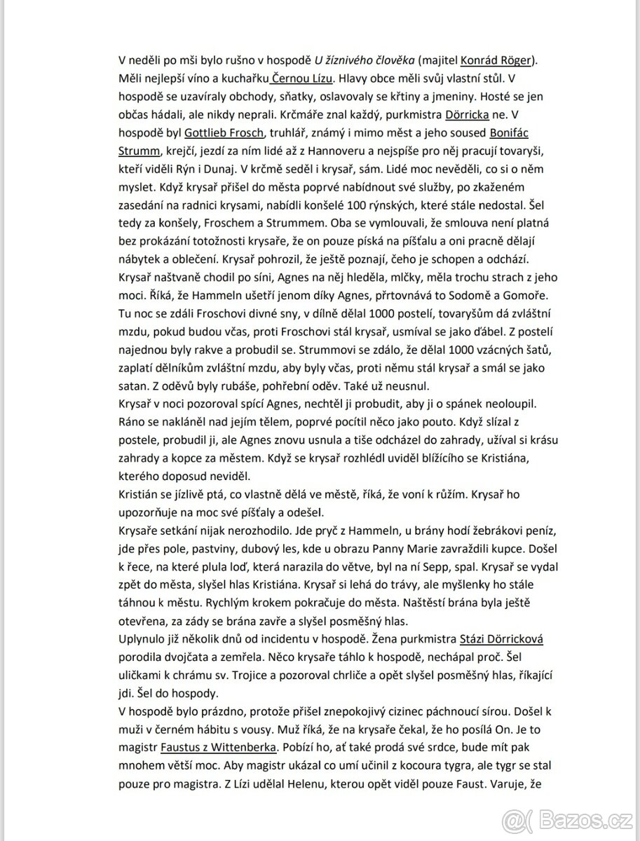 Rozbory maturitní četby - 7