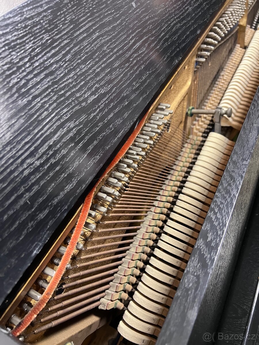 Klavir Scholze - 7