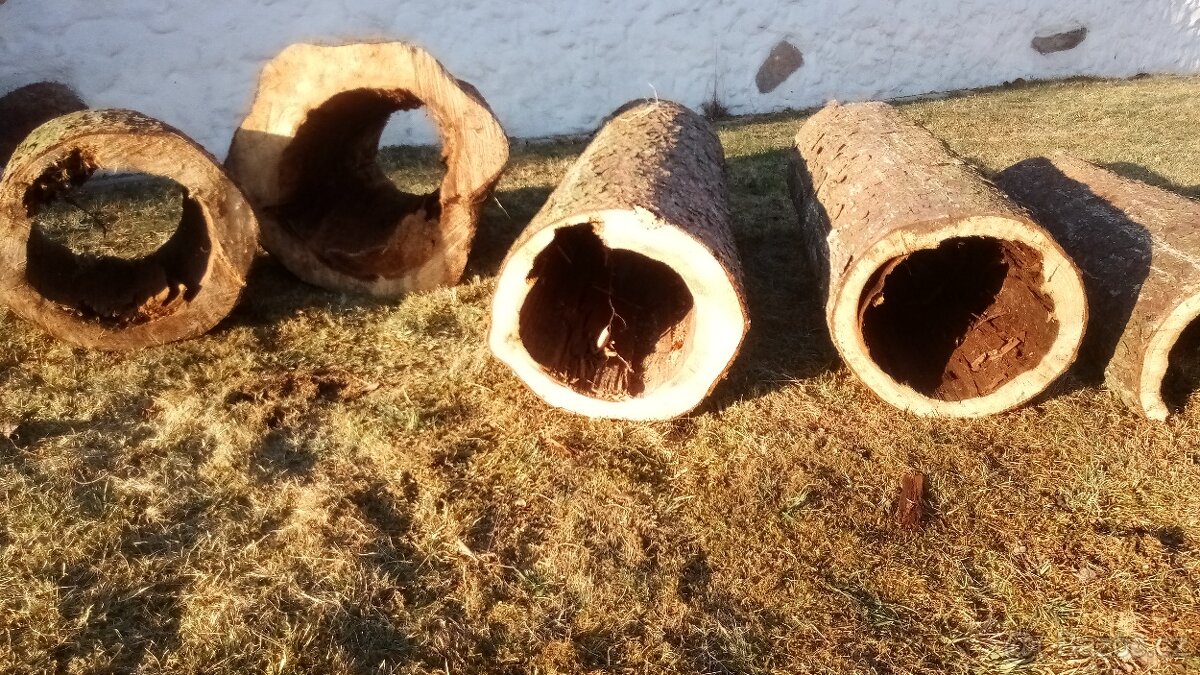 Duté kmeny na ptačí budky aj. - 7