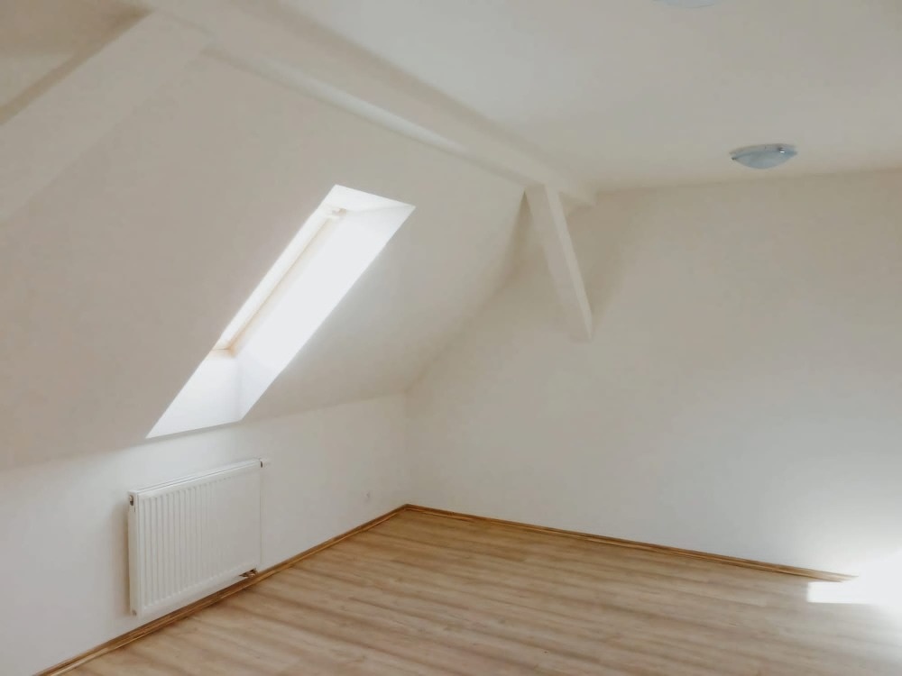 Prodej RD se 3 bytovými jednotkami, Božkovské náměstí, Plzeň - 7