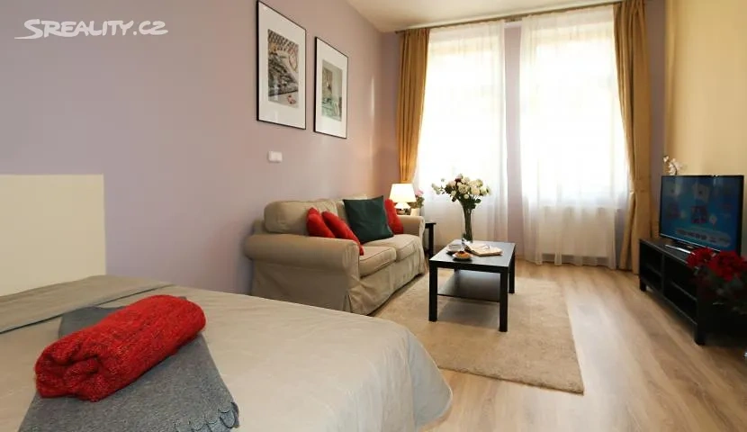 Pronájem bytu 1+1 40 m² Máchova, Praha - Vinohrady - 7
