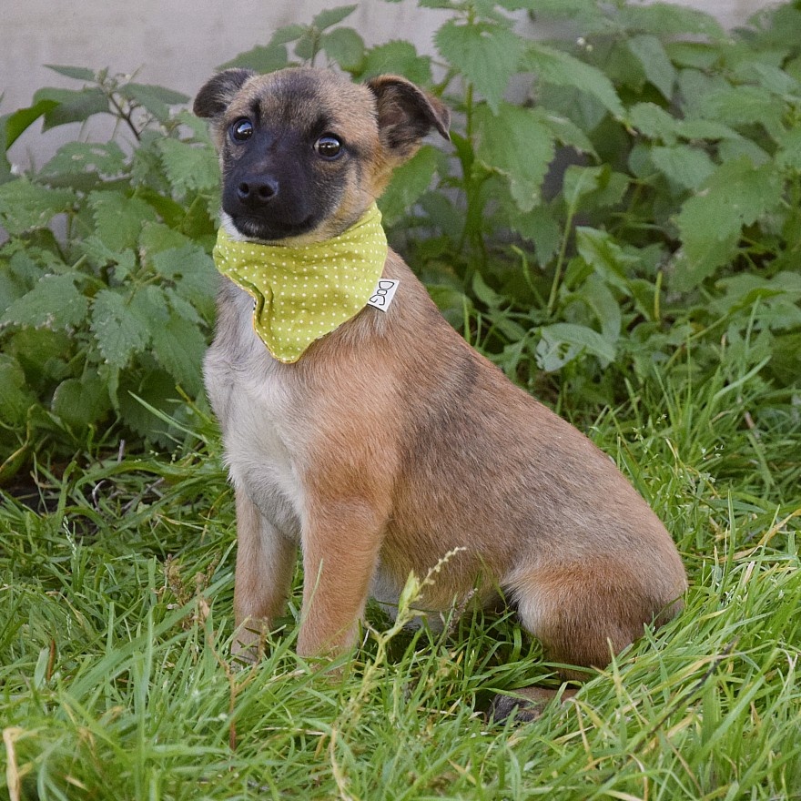 Samko hledá domov - 7