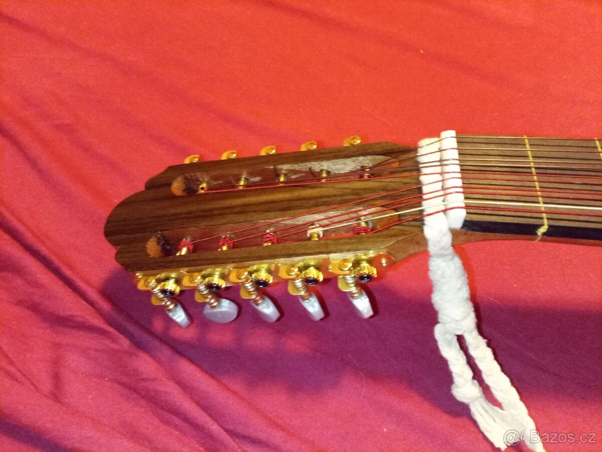 netradiční desetistrunná kytara - 7