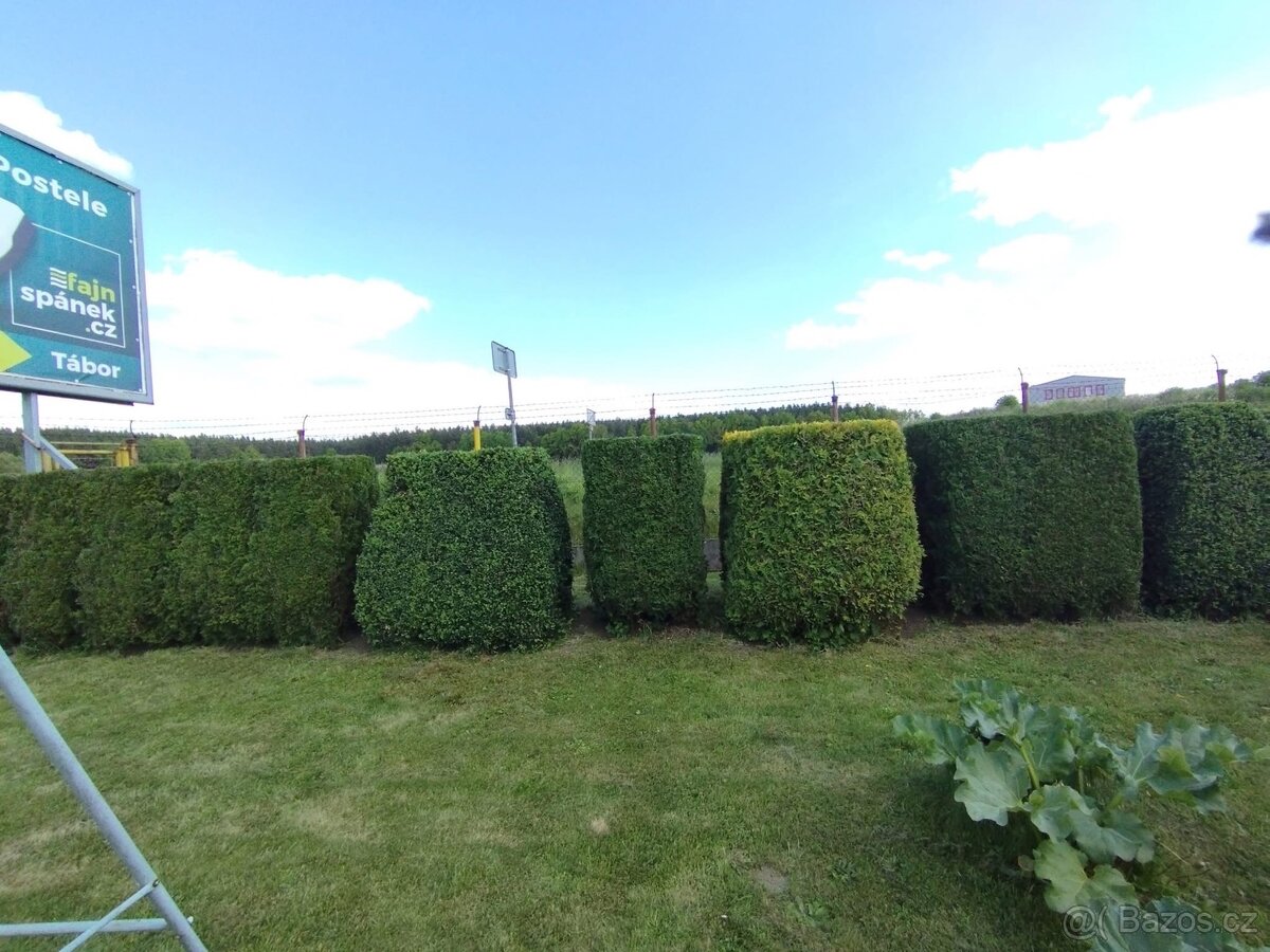 Zahradnické práce - 7