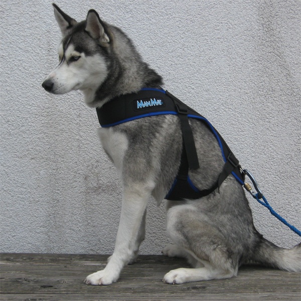 ManMat - Postroj Merhi long - 7