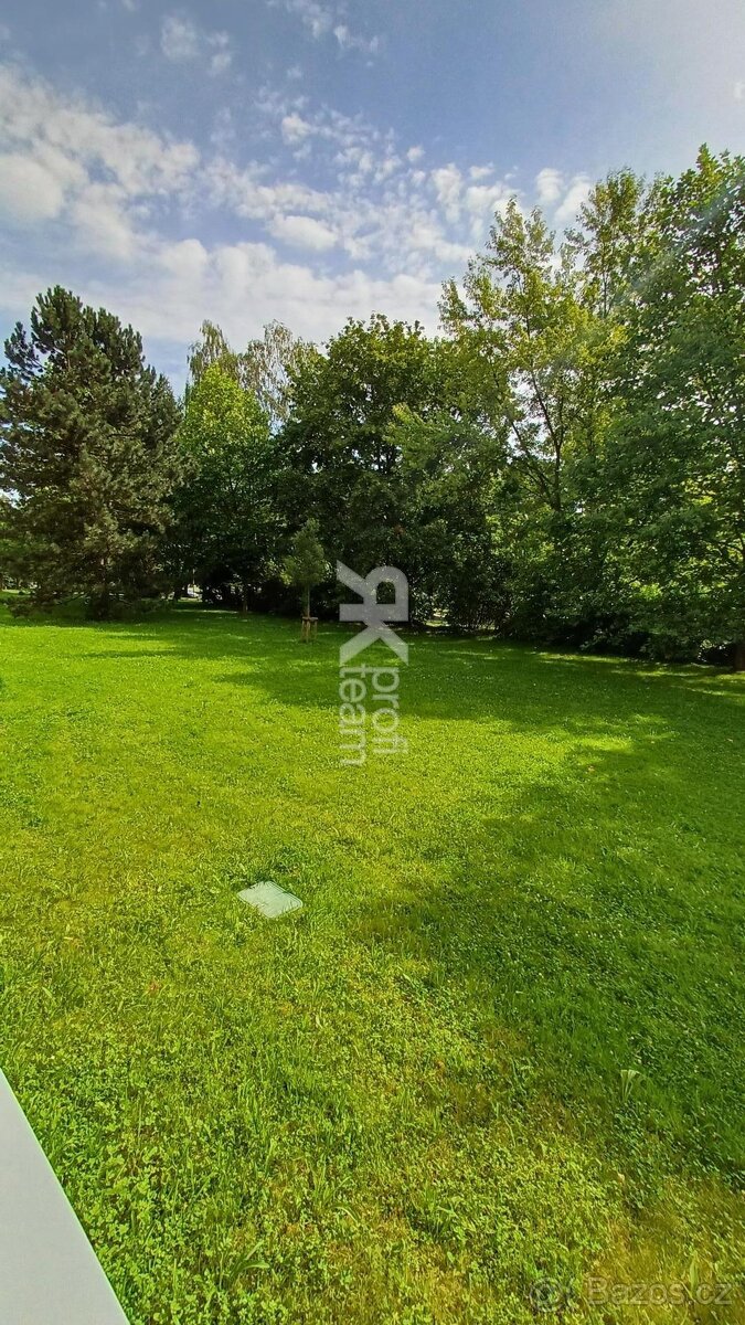 Pronájem bytu 1+1, ul. Lužická, Ostrava-Výškovice - 7