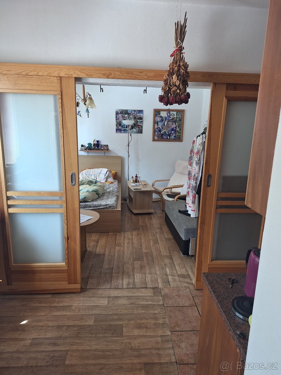 Hodkovice nad Mohelkou byt O.V. 4+1 - 7