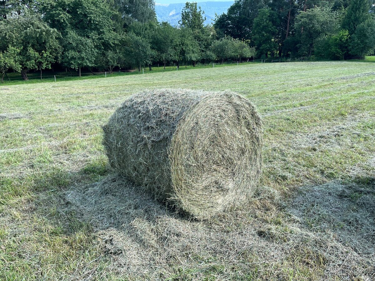 Lisování sena, slámy, senáže. - 7