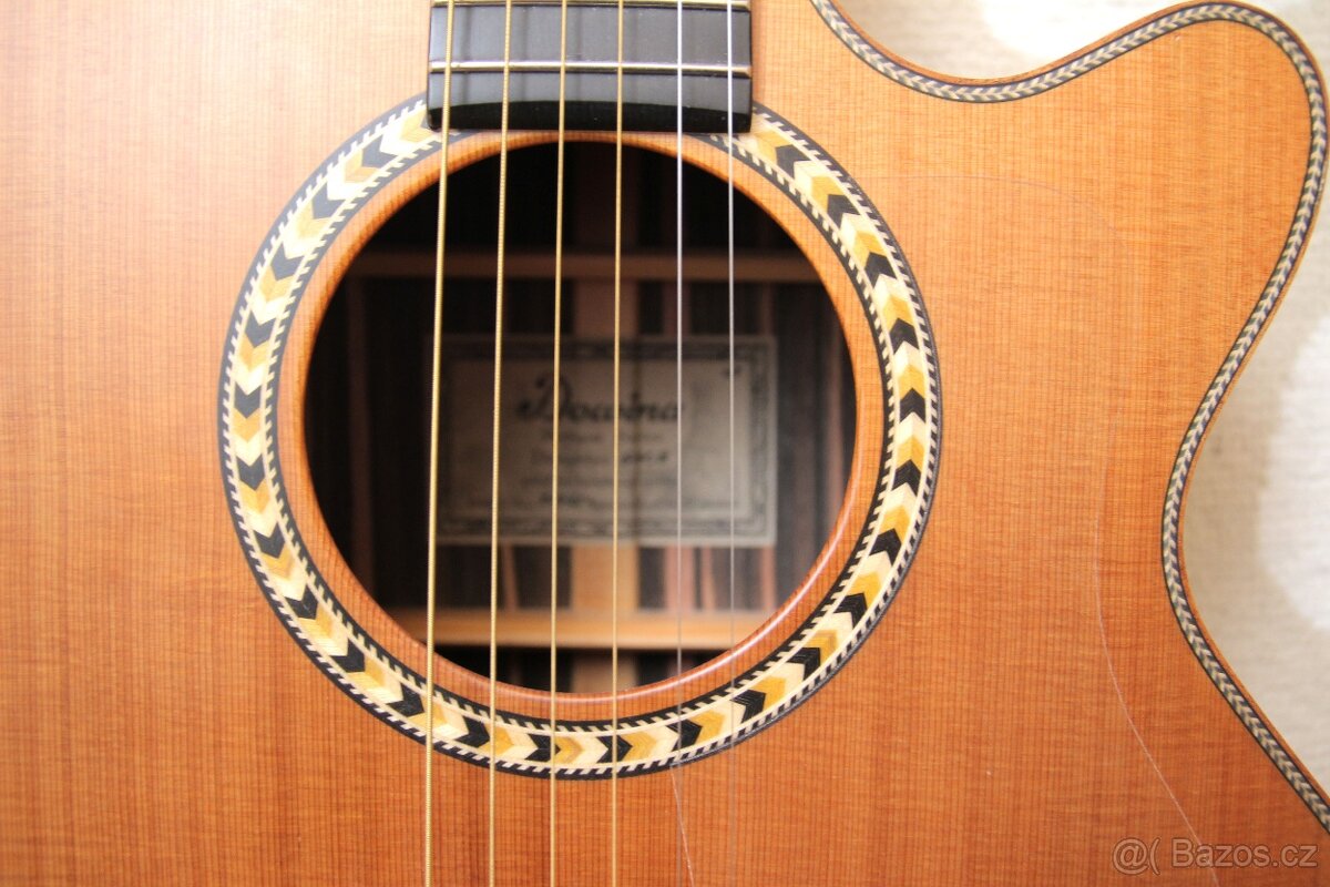Elektroakusticá kytara Dowina Danubius GACE - 7