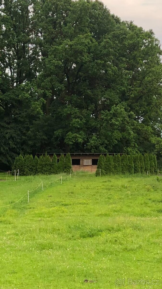 Ustájení koní - 7