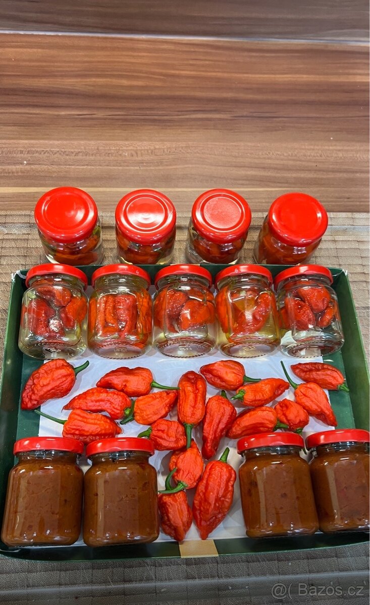 Sazenice TRINIDAD MORUGA SCORPION a CAROLINA REAPER - 7