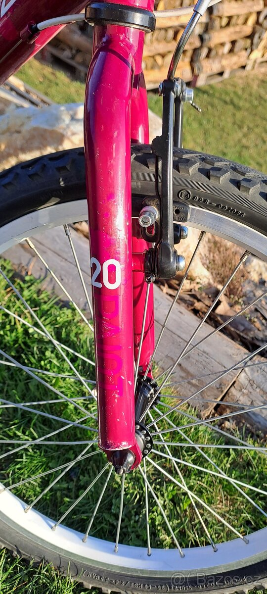 Superior Paint 20"- PĚKNÉ - 7