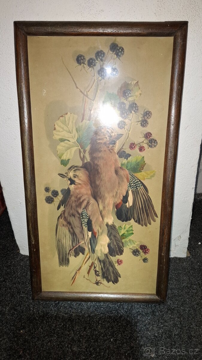 Obrazy - více kusů - 7