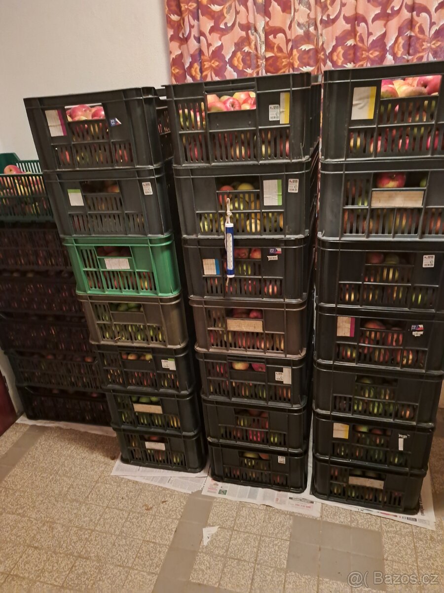 Nabídka jablek, ořechů a dřeva - 7