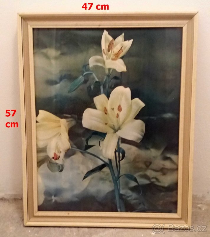 Prodám zachovalé obrazy v původním rámu, minulé století - 7