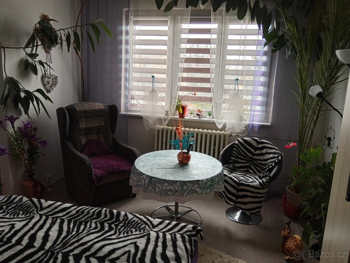 Prodej bytu Bochov - 7