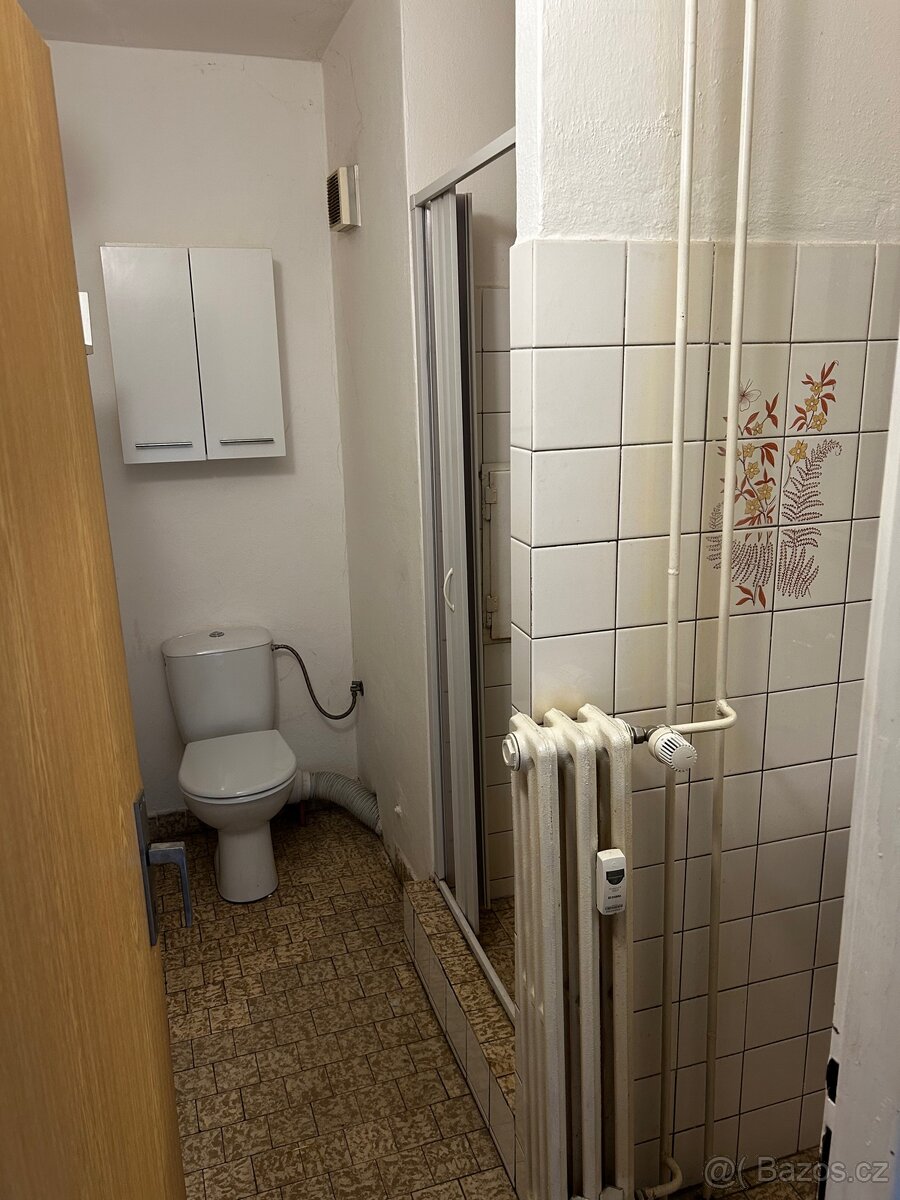 Pronájem - 7