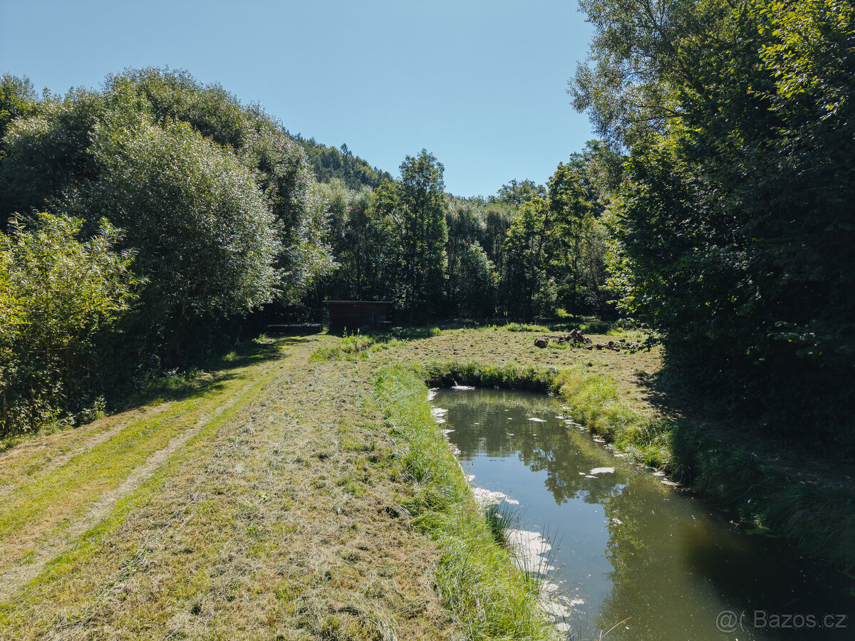 Pronájem rybích sádek, Nové Hrady - 7