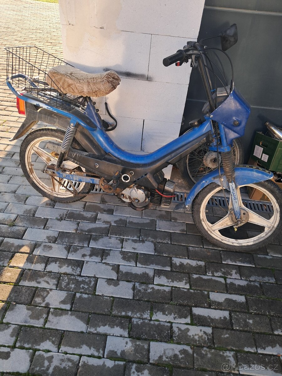 Manet korado Babeta 210 - 7