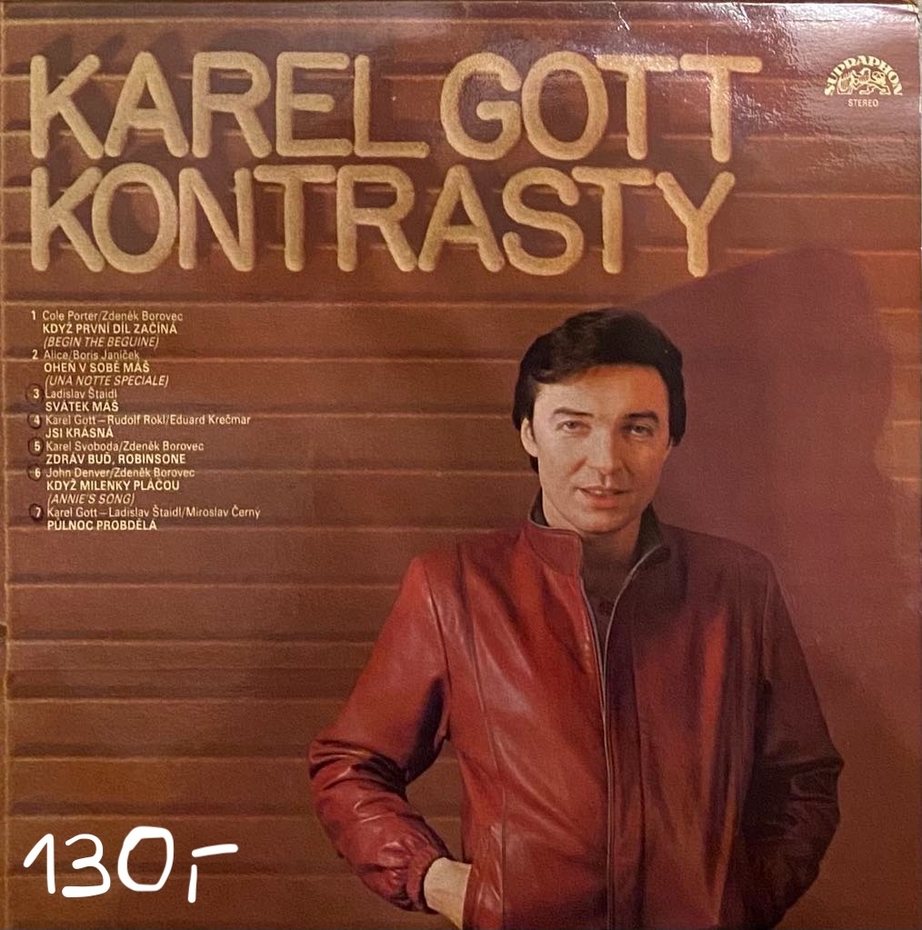 8 x LP desky (Madonna, Bartošová, Gott, Becaud, Fitzgerald.) - 7