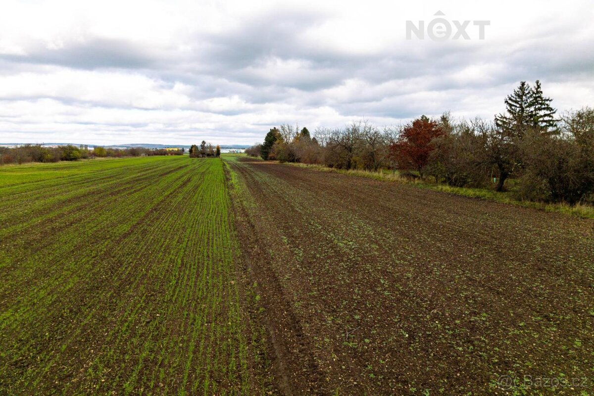 Prodej pozemek Bydlení, 2814㎡ - 7