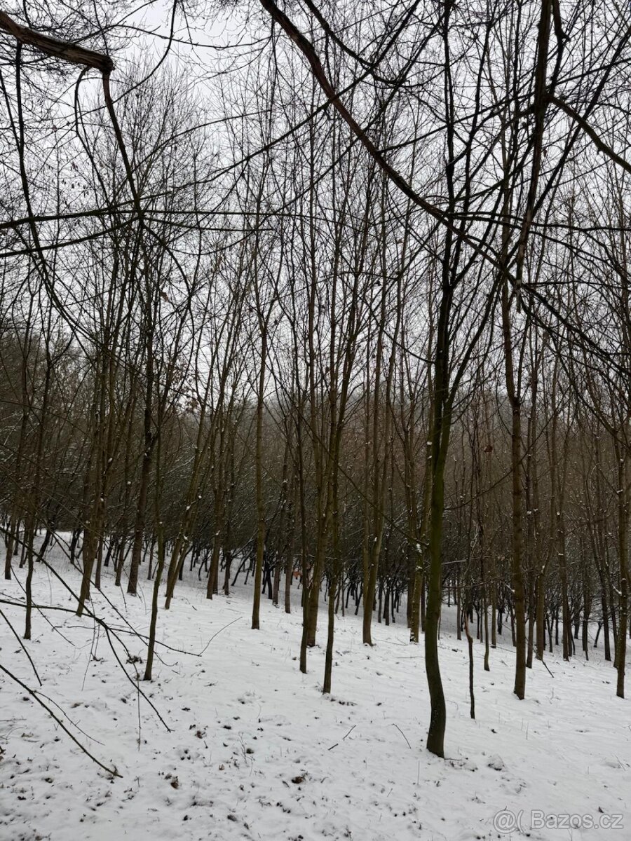 Prodej pozemků k.ú. Chotiměř + k.ú. Velemín - 7