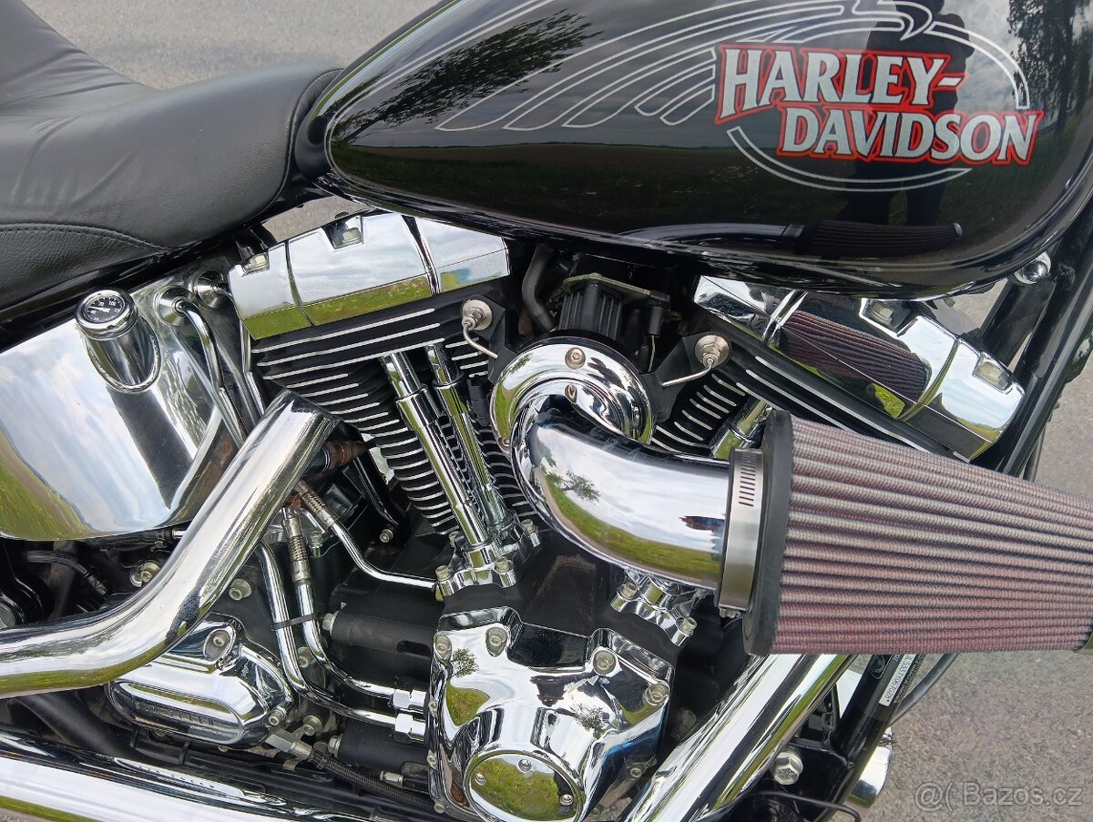 HARLEY DAVIDSON FXSTC softail custom - 7