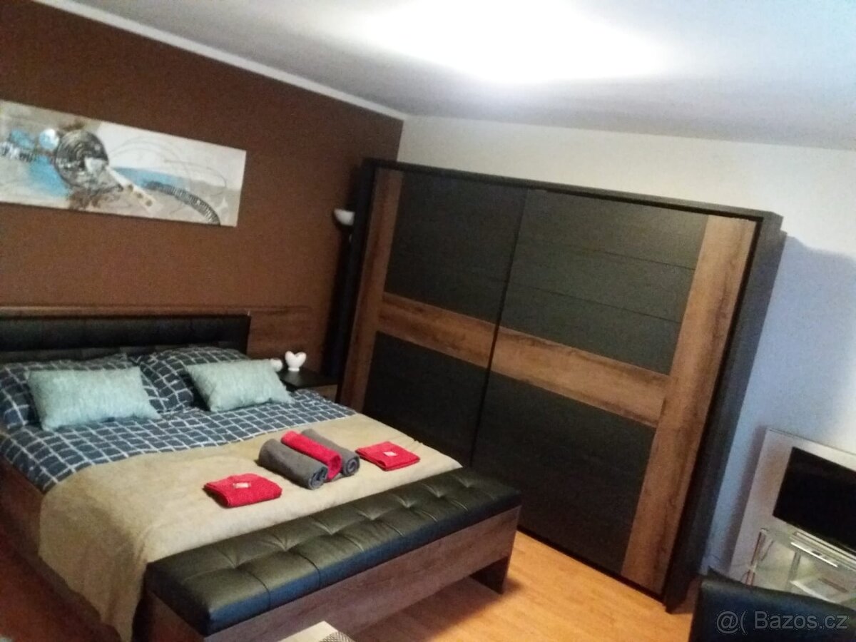 Pronajmu krásný byt 1kk v Berouně - 7