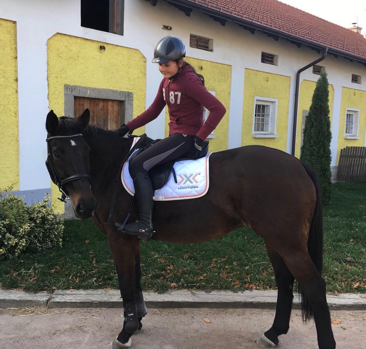 Charakterní spolehlivá kobyla k rekreačnímu využití - 7