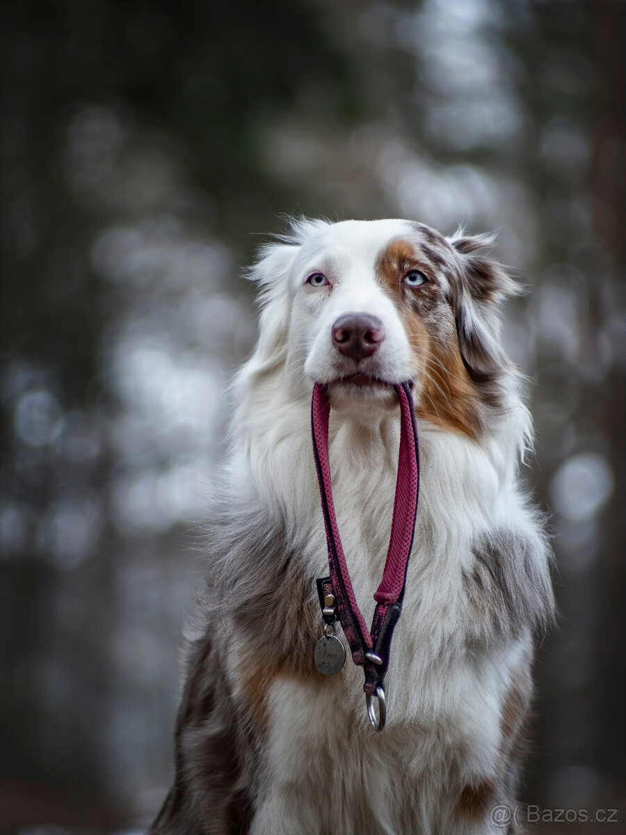 Pentacon 135/2,8 M42 - 7