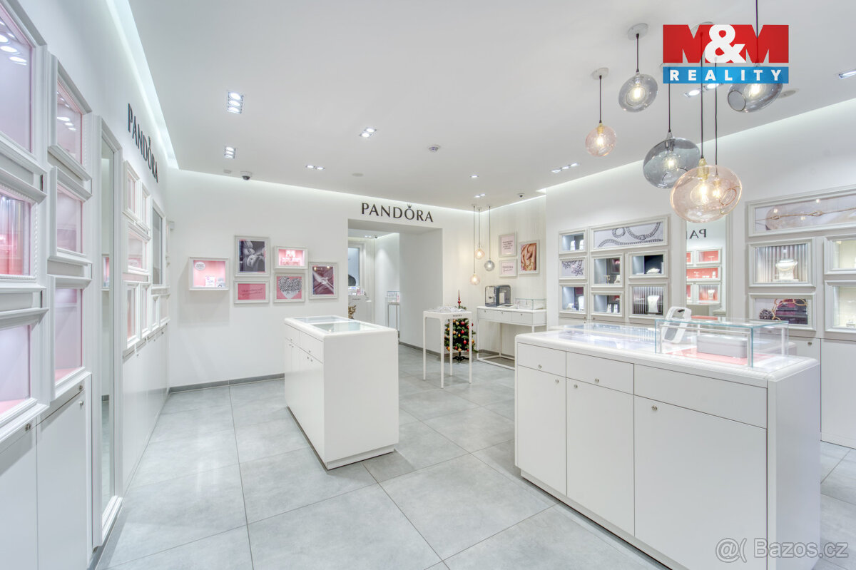 Pronájem obchod a služby, 116 m², Plzeň, ul Bedřicha Smetany - 7
