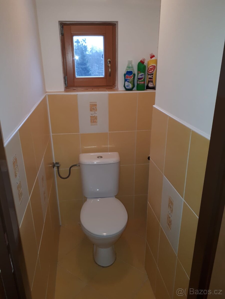 Pronajem Bytu v RD Lhotka - 7