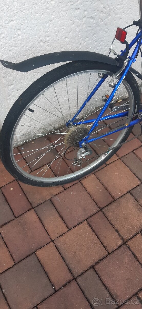 Kolo Author Classic - 7