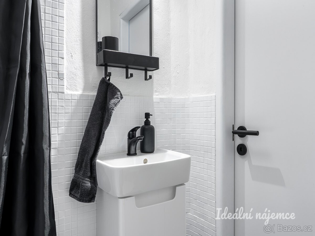 Pronájem bytu 1+kk, Petra Rezka, Nusle, 23 m2 - 7