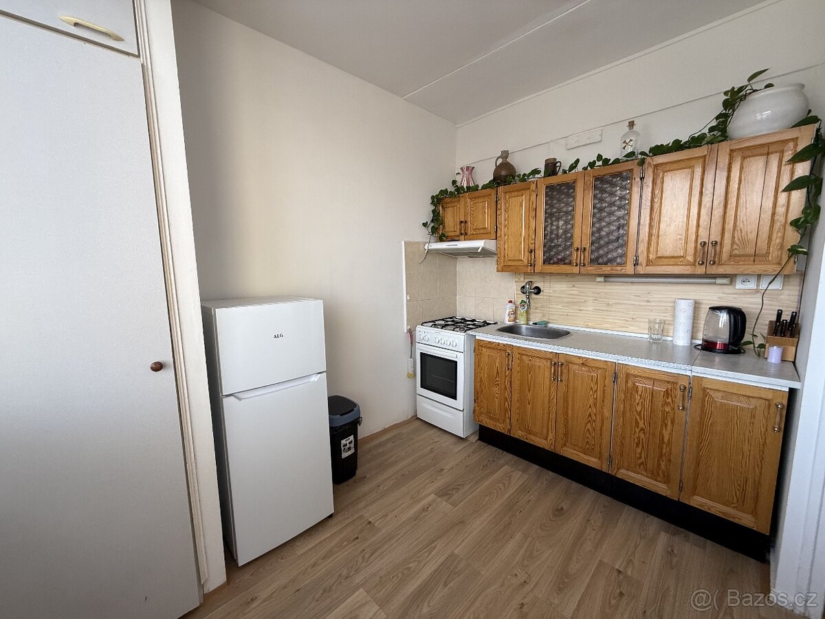 Pronájem bytu 1+1 41 m², Bystrc - 7