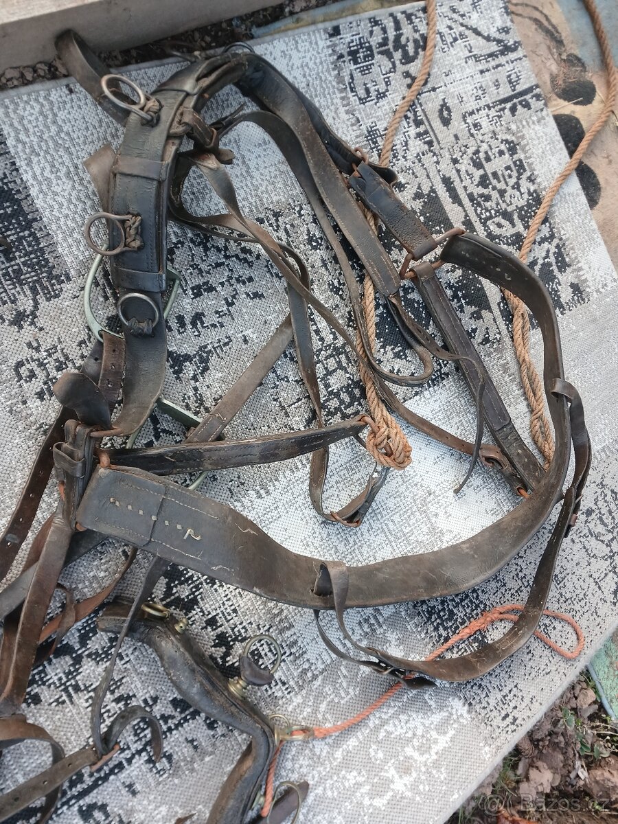 Potřeby pro koňe - 7