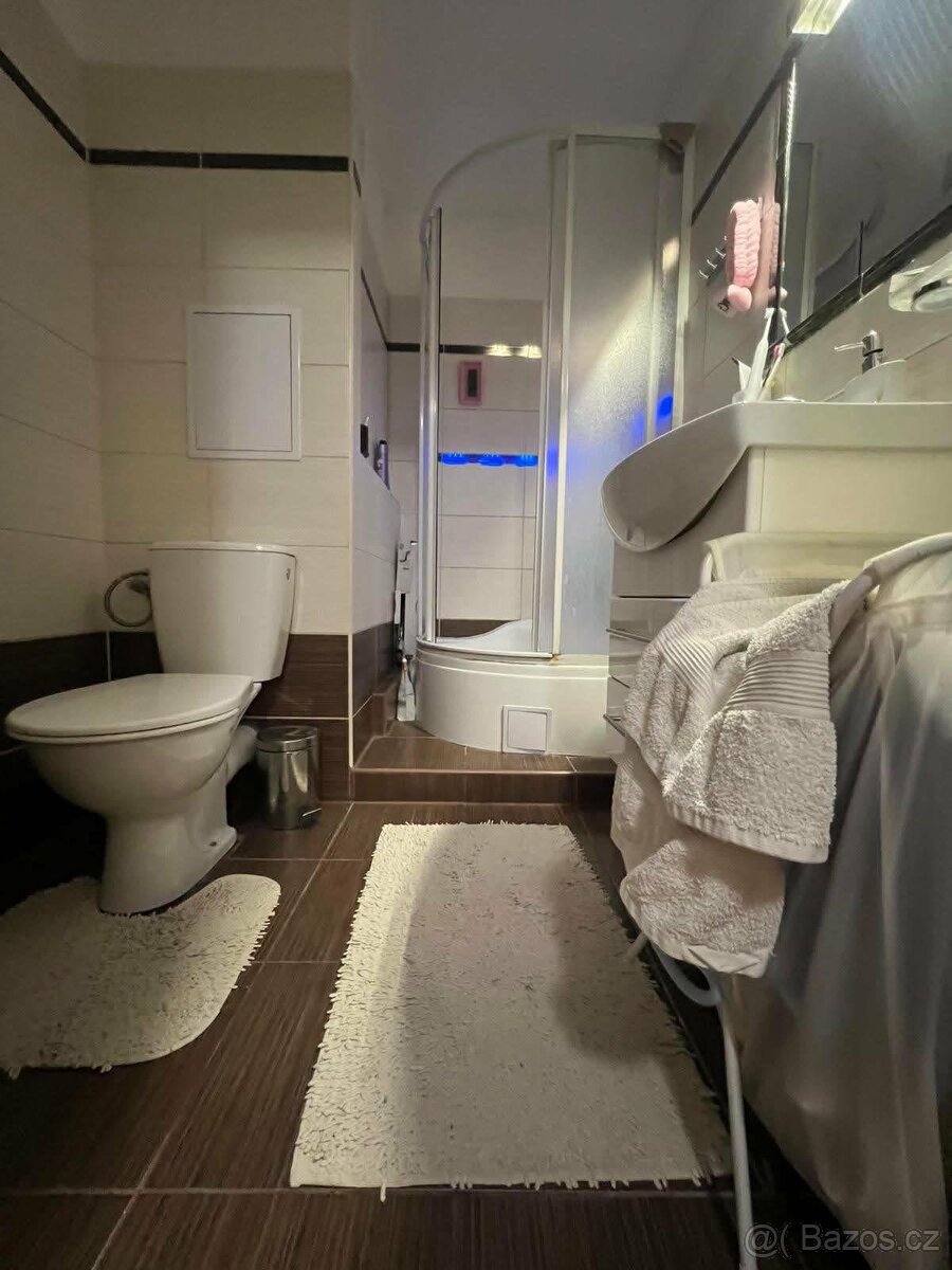 Pronájem bytu - 7