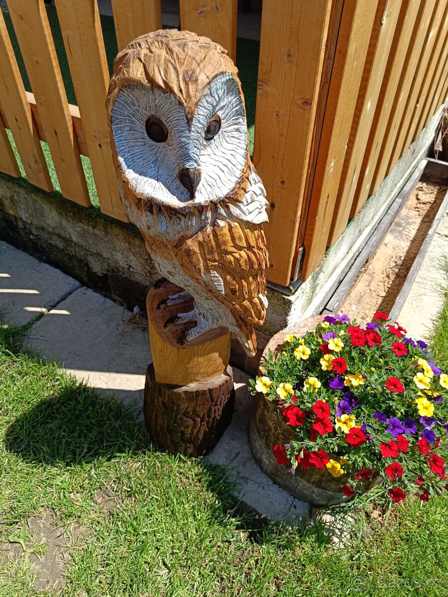Socha sovy - 7