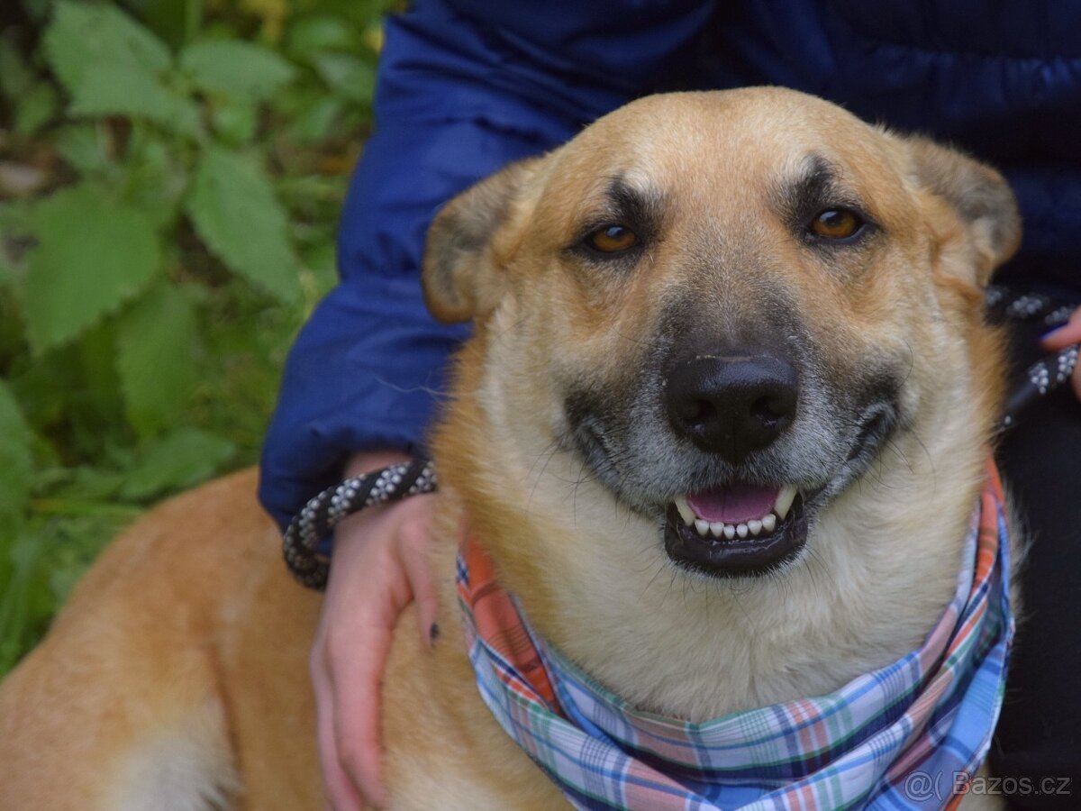 Odin hledá domov - 7